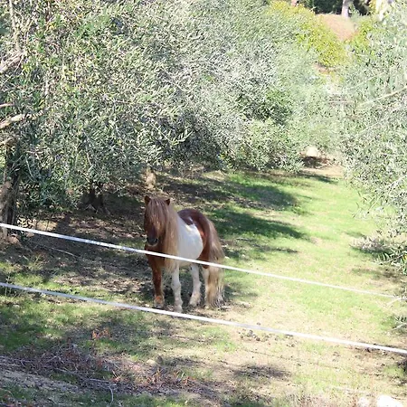 Casale Delle Rose Fattoria Bed & Breakfast 3*