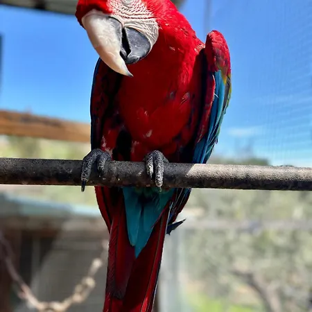 Casale Delle Rose Fattoria Montepagano