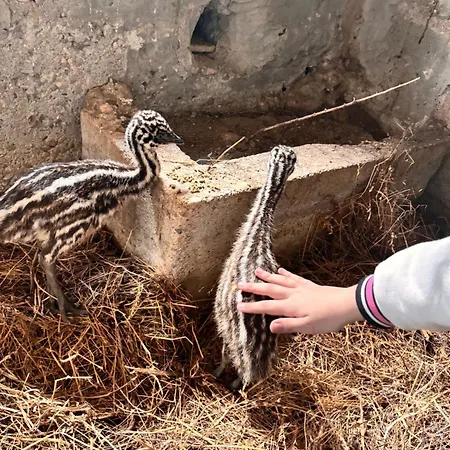 Casale Delle Rose Fattoria 3*