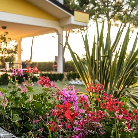 Bed and Breakfast Casale Delle Rose Fattoria Montepagano