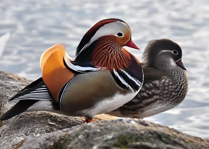 Bed & Breakfast Casale Delle Rose Fattoria 3*