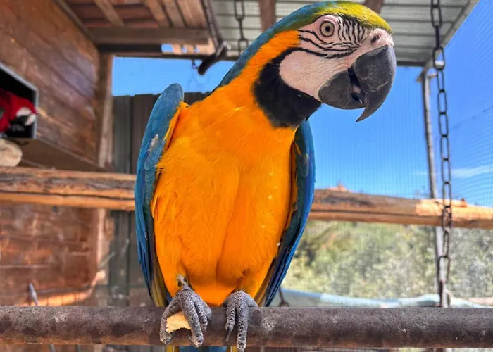 Casale Delle Rose Fattoria 3*