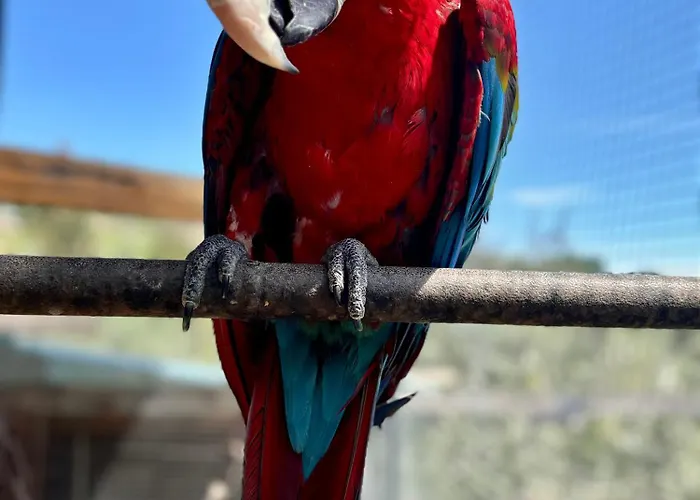 Casale Delle Rose Fattoria Montepagano