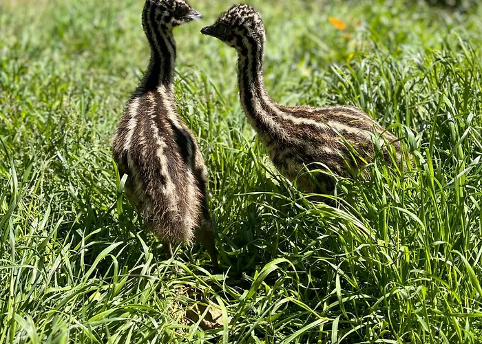 Casale Delle Rose Fattoria 3* Montepagano