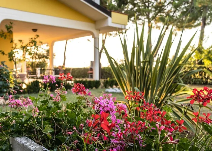 Bed & Breakfast Casale Delle Rose Fattoria Montepagano